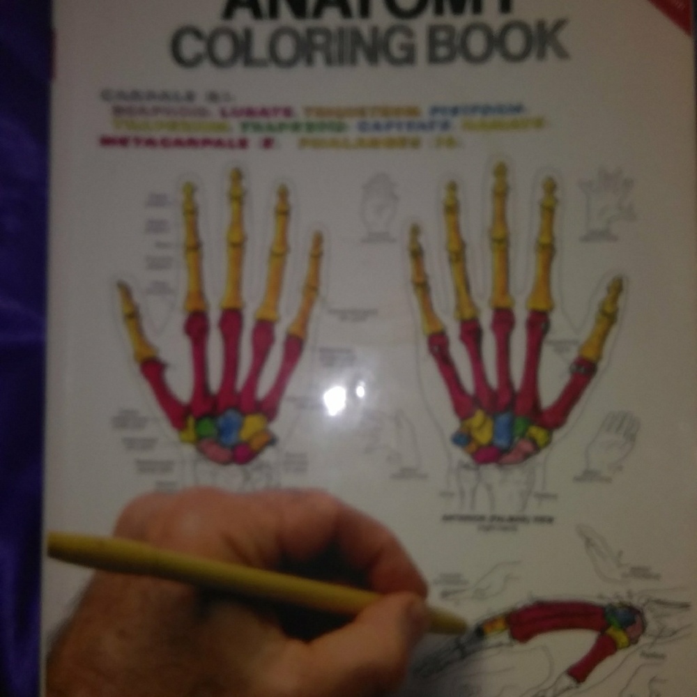Anatomy coloring book